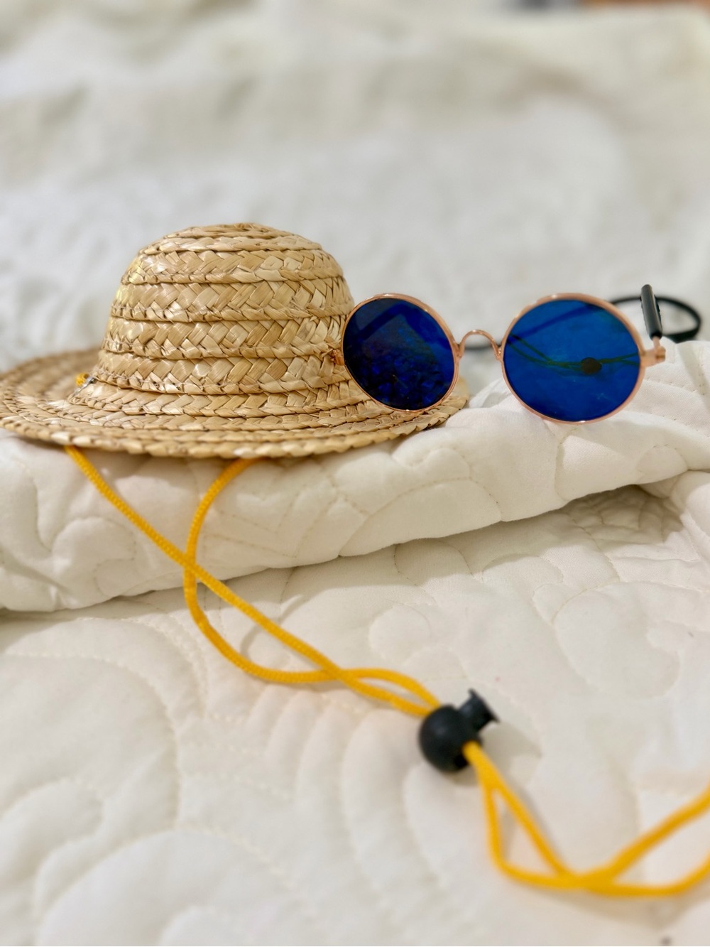 Small Dog / Cat Straw Sun Hat & Sunglasses Set - Summer Pet Photo Prop